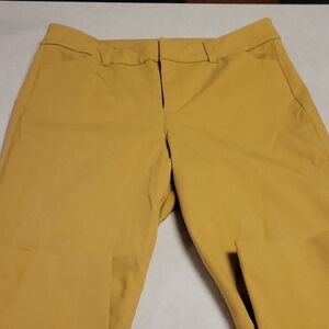 Old Navy Women's Golden Khakis